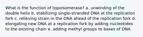 What is the function of topoisomerase? a. unwinding of the double helix b. stabilizing single-stranded DNA at the replication fork c. relieving strain in the DNA ahead of the replication fork d. elongating new DNA at a replication fork by adding nucleotides to the existing chain e. adding methyl groups to bases of DNA