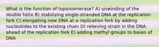 What is the function of topoisomerase? A) unwinding of the double helix B) stabilizing single-stranded DNA at the replication fork C) elongating new DNA at a replication fork by adding nucleotides to the existing chain D) relieving strain in the DNA ahead of the replication fork E) adding methyl groups to bases of DNA