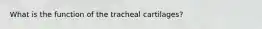 What is the function of the tracheal cartilages?