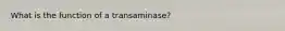 What is the function of a transaminase?