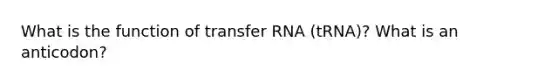 What is the function of transfer RNA (tRNA)? What is an anticodon?