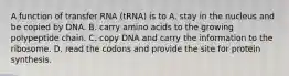 A function of transfer RNA (tRNA) is to A. stay in the nucleus and be copied by DNA. B. carry amino acids to the growing polypeptide chain. C. copy DNA and carry the information to the ribosome. D. read the codons and provide the site for protein synthesis.