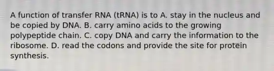 A function of transfer RNA (tRNA) is to A. stay in the nucleus and be copied by DNA. B. carry amino acids to the growing polypeptide chain. C. copy DNA and carry the information to the ribosome. D. read the codons and provide the site for protein synthesis.