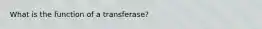 What is the function of a transferase?