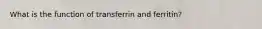 What is the function of transferrin and ferritin?