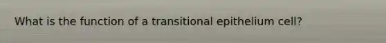 What is the function of a transitional epithelium cell?