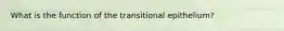 What is the function of the transitional epithelium?