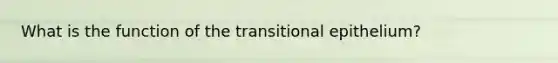 What is the function of the transitional epithelium?