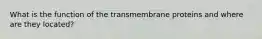 What is the function of the transmembrane proteins and where are they located?