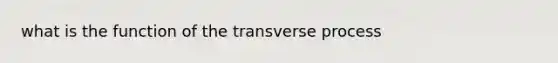 what is the function of the transverse process