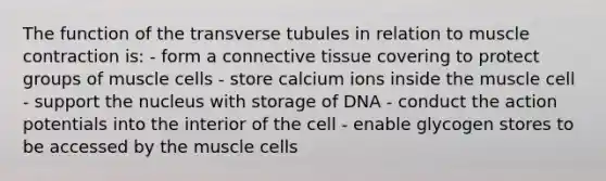 The function of the transverse tubules in relation to muscle contraction is: - form a connective tissue covering to protect groups of muscle cells - store calcium ions inside the muscle cell - support the nucleus with storage of DNA - conduct the action potentials into the interior of the cell - enable glycogen stores to be accessed by the muscle cells