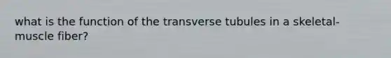 what is the function of the transverse tubules in a skeletal-muscle fiber?