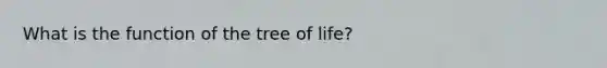 What is the function of the tree of life?