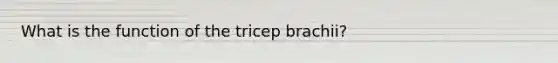 What is the function of the tricep brachii?