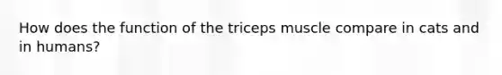 How does the function of the triceps muscle compare in cats and in humans?