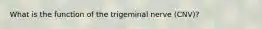 What is the function of the trigeminal nerve (CNV)?