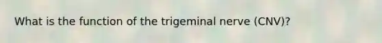 What is the function of the trigeminal nerve (CNV)?