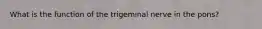 What is the function of the trigeminal nerve in the pons?