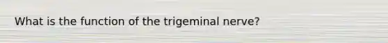 What is the function of the trigeminal nerve?