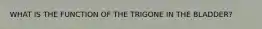 WHAT IS THE FUNCTION OF THE TRIGONE IN THE BLADDER?