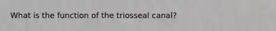 What is the function of the triosseal canal?