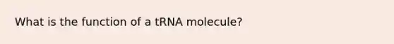 What is the function of a tRNA molecule?