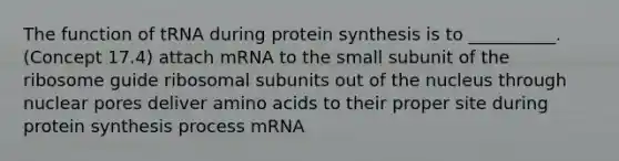 The function of tRNA during protein synthesis is to __________. (Concept 17.4) attach mRNA to the small subunit of the ribosome guide ribosomal subunits out of the nucleus through nuclear pores deliver amino acids to their proper site during protein synthesis process mRNA