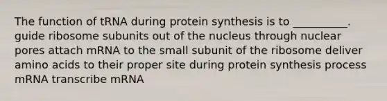 The function of tRNA during protein synthesis is to __________. guide ribosome subunits out of the nucleus through nuclear pores attach mRNA to the small subunit of the ribosome deliver amino acids to their proper site during protein synthesis process mRNA transcribe mRNA