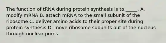 The function of tRNA during protein synthesis is to _____. A. modify mRNA B. attach mRNA to the small subunit of the ribosome C. deliver amino acids to their proper site during protein synthesis D. move ribosome subunits out of the nucleus through nuclear pores