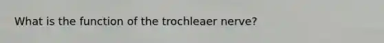 What is the function of the trochleaer nerve?