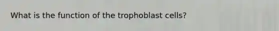 What is the function of the trophoblast cells?