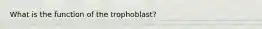 What is the function of the trophoblast?