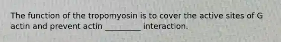 The function of the tropomyosin is to cover the active sites of G actin and prevent actin _________ interaction.