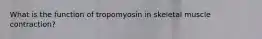 What is the function of tropomyosin in skeletal muscle contraction?