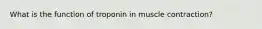 What is the function of troponin in muscle contraction?