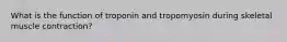 What is the function of troponin and tropomyosin during skeletal muscle contraction?