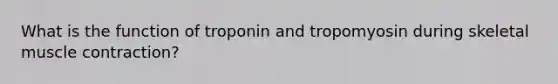 What is the function of troponin and tropomyosin during skeletal muscle contraction?