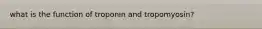 what is the function of troponin and tropomyosin?