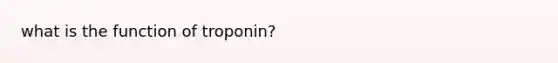 what is the function of troponin?