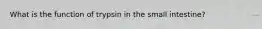 What is the function of trypsin in the small intestine?