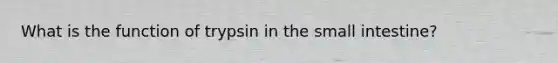 What is the function of trypsin in the small intestine?