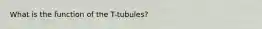 What is the function of the T-tubules?