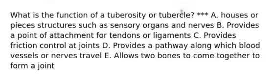 What is the function of a tuberosity or tubercle? *** A. houses or pieces structures such as sensory organs and nerves B. Provides a point of attachment for tendons or ligaments C. Provides friction control at joints D. Provides a pathway along which blood vessels or nerves travel E. Allows two bones to come together to form a joint