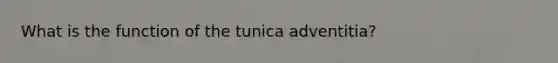 What is the function of the tunica adventitia?