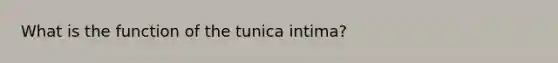 What is the function of the tunica intima?