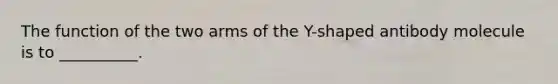 The function of the two arms of the Y-shaped antibody molecule is to __________.