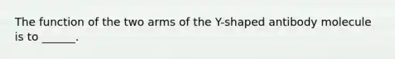 The function of the two arms of the Y-shaped antibody molecule is to ______.