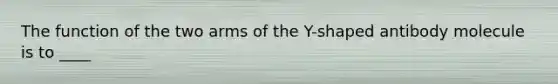 The function of the two arms of the Y-shaped antibody molecule is to ____