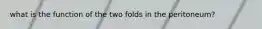 what is the function of the two folds in the peritoneum?