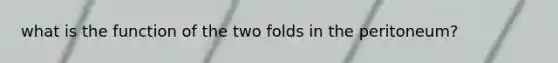 what is the function of the two folds in the peritoneum?